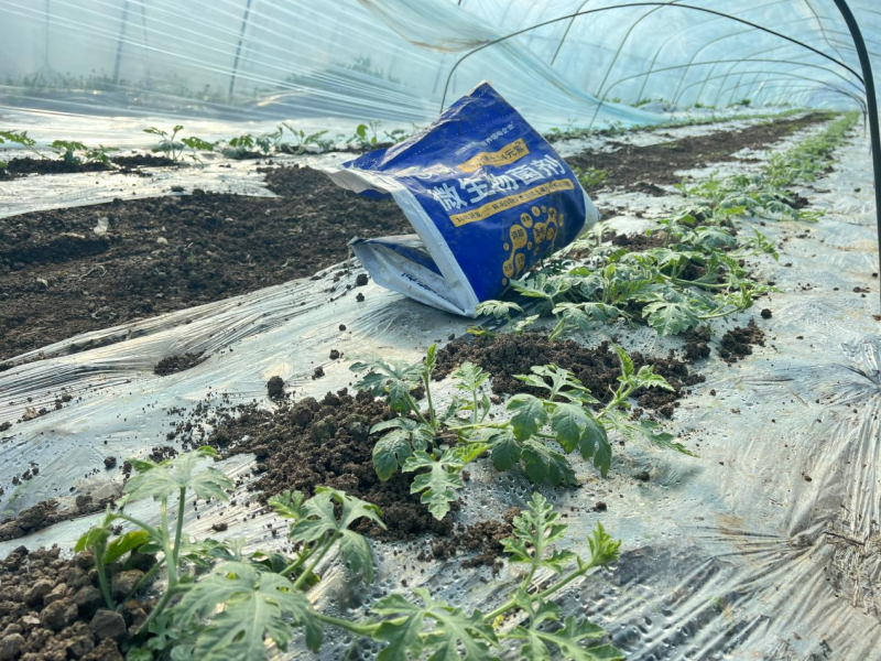 微生物菌劑-沃葉消茬健土14元素江蘇西瓜1.png