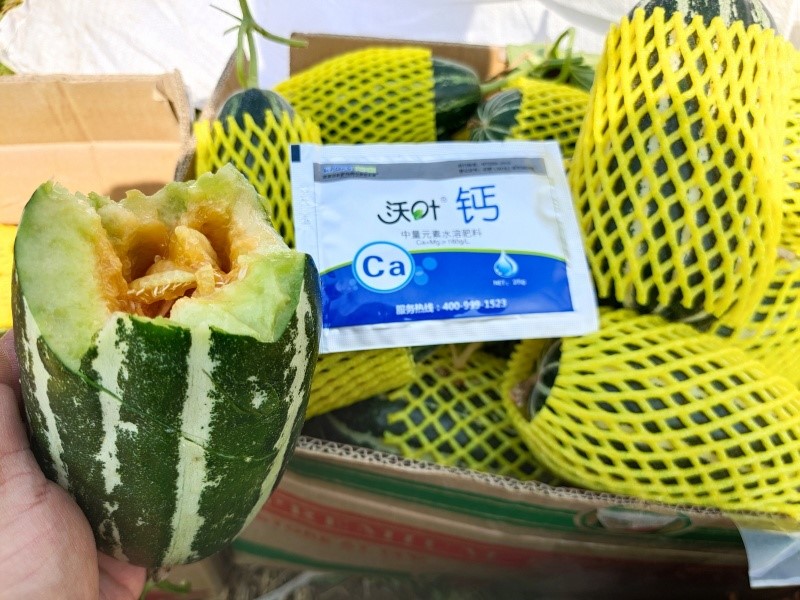 鈣肥這樣用，效果更好