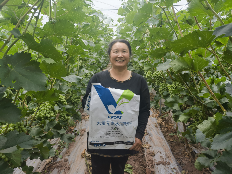 大量元素水溶肥怎么使用