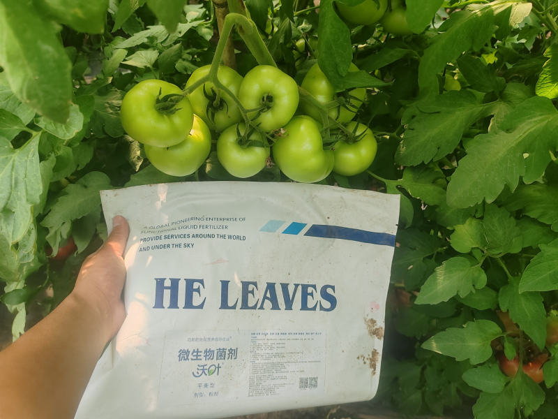 微生物菌劑哪個(gè)牌子好？